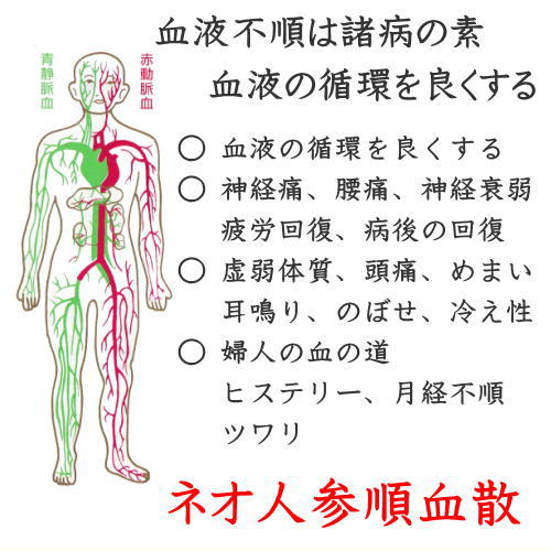 ネオ人参順血散のチラシ画層